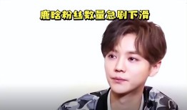 司晓迪爆料打击诸多男星鹿晗分手被补刀毁人设关晓彤收获体面